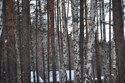 DSC_1585_r